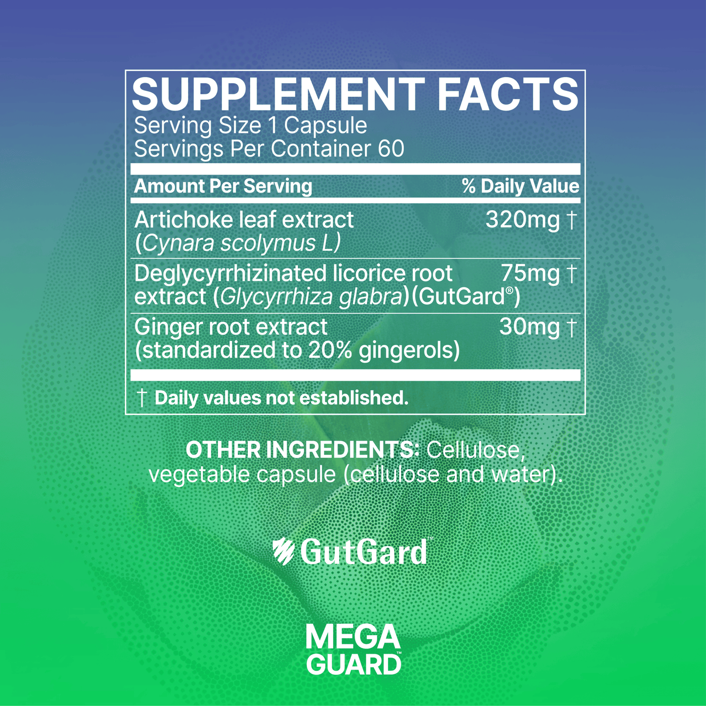 MegaGuard - 60 Capsules